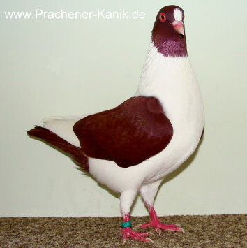 01rot2007 01rot2007