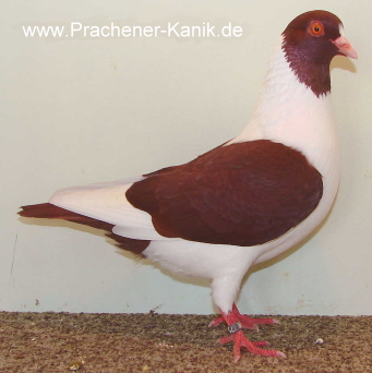 01rot2008 01rot2008