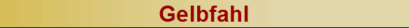 Gelbfahl