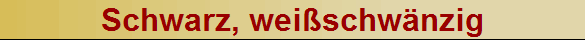 Schwarz, weischwnzig