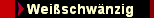 Wei�schw�nzig
