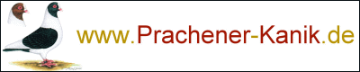 www.Prachener-Kanik.de